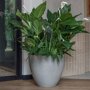 Pottery Pots Refined Jesslyn ronde plantenbak grijs